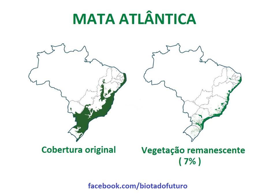 Devastação da Mata Atlântica - Mapa ilustrativo - Adaptação Biota do Futuro