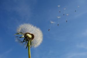 Por que o céu é azul?