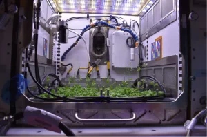 O que é o projeto Habitat Avançado de Plantas da NASA?