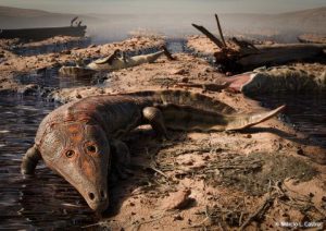 Fóssil de anfíbio gigante mais antigo que os dinossauros é encontrado no Rio Grande do Sul