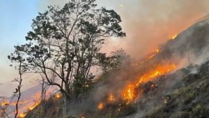 Temperaturas globais, gases de efeito estufa e outros indicadores climáticos tiveram registros recordes em 2023, diz relatório internacional