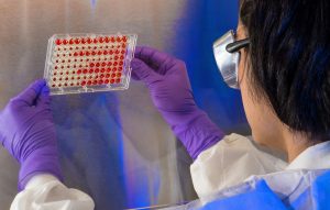 Pesquisadores descobrem no Brasil nova enzima que degrada a celulose de forma mais eficiente