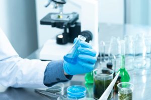 Endossimbiose, evento crucial para a evolução da vida, reproduzido pela primeira vez em laboratório