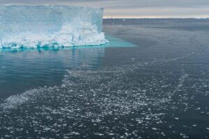 Ecossistema incrível é revelado após desprendimento de iceberg na Antártida