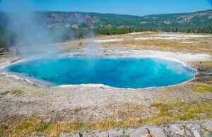 Evolução da vida: o antepassado comum de todos os seres vivos da Terra 