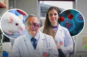 Cientistas espanhóis obtêm de forma inédita a cura do câncer de pâncreas em modelos experimentais 