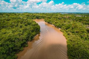 Facções impõem terror na Amazônia usando crimes ambientais para expansão do poder  