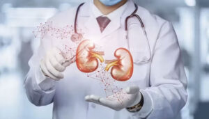 Cientistas restauram função renal usando terapia inédita 